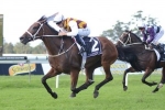 Waller aiming for third consecutive Chipping Norton Stakes