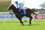 Moonee Valley To Suit I’m All The Talk In McEwen Stakes