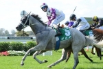 Arinosa to miss Doomben 10,000 Arinosa to miss Doomben 10,000