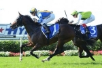 Show The World Could Be Outpaced In Randwick Guineas