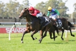 O’Shea’s filly Romantic Moon takes out Sweet Embrace Stakes