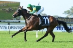 Snitzerland Shines In Trackwork Before Challenge Stakes