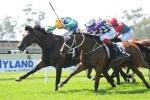 Tremec emerges as Sydney Cup chance with Randwick City Stakes win