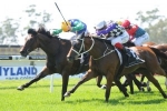 Tremec emerges as Sydney Cup chance with Randwick City Stakes win Tremec emerges as Sydney Cup chance with Randwick City Stakes win
