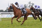 Snitzel’s Jewel To Defend Unbeaten Record on Saturday