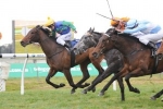 Railway Stakes Betting Support For Longport