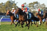 2014 All Aged Stakes Field Released