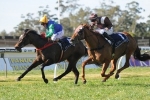 Thump holds on to take out Silver Shadow Stakes