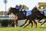 Reith back on Veyron in George Main Stakes