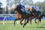Golden Rose Stakes loses Aussies Love Sport