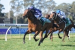 War turns form around for Up And Coming Stakes win War turns form around for Up And Coming Stakes win