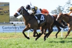 Moonee Valley send out SOS to save Australia Stakes Moonee Valley send out SOS to save Australia Stakes