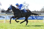2014 Villiers Stakes Tips: Strawberry Boy The Value