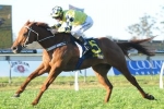 Pride Chasing Autumn Wins With Veteran Sprinters Pride Chasing Autumn Wins With Veteran Sprinters