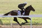 Caulfield Cup Odds: Late Mail Caulfield Cup Odds: Late Mail