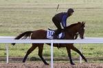 Australian Cup the Target for Exospheric Australian Cup the Target for Exospheric