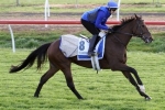 Godolphin have 3 runners in Geelong Cup