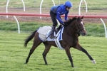 2016 Caulfield Cup Odds Update: Late money for Scottish 2016 Caulfield Cup Odds Update: Late money for Scottish