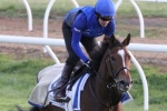 Emirates Stakes field reduced to 12 with Scottish out Emirates Stakes field reduced to 12 with Scottish out