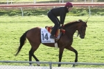 Lloyd Williams buys into Caulfield Cup hope Sir Isaac Newton Lloyd Williams buys into Caulfield Cup hope Sir Isaac Newton
