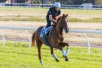 Red Cadeaux Ruled Out Of The BMW