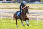 Red Cadeaux To Contest Queen Elizabeth Cup