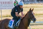 Red Cadeaux draws outside barrier in Sydney Cup