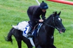 Dandino Recovering Well From Injury