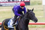 Side Glance has final hit out for 2013 Cox Plate