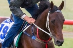 Round Table Racing To Be Main Syndicator For Waterhouse Stable Round Table Racing To Be Main Syndicator For Waterhouse Stable