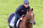 Memsie Stakes Return For Trevieres Memsie Stakes Return For Trevieres