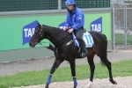 2015 Emirates Stakes Tips: Magic Artist & Bow Creek Tough To Split