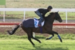 Hokko Brave needs luck from wide Melbourne Cup Barrier Hokko Brave needs luck from wide Melbourne Cup Barrier