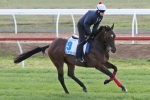 Super One Can Bounce Back In 2015 Coolmore Stud Stakes Super One Can Bounce Back In 2015 Coolmore Stud Stakes