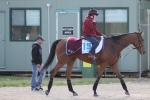 McDonald Rides Melbourne Cup Hope Big Orange