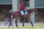 Weight to decide Big Orange’s 2016 Melbourne Cup assault Weight to decide Big Orange’s 2016 Melbourne Cup assault