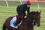 2016 Melbourne Cup Form: Bondi Beach better than last year 2016 Melbourne Cup Form: Bondi Beach better than last year