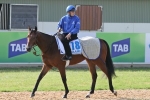 Elhaame to secure Melburne Cup spot with Lexus Stakes win Elhaame to secure Melburne Cup spot with Lexus Stakes win