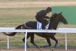 Fame Game’s Melbourne Cup Odds Lengthen Fame Game’s Melbourne Cup Odds Lengthen