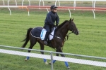 42 Horses In Melbourne Cup Second Acceptances