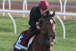 Cox Plate invitee Highland Reel wins Prince Of Wales’s Stakes Cox Plate invitee Highland Reel wins Prince Of Wales’s Stakes