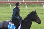 Magic Artist holding on to favouritism for Kingston Town Classic Magic Artist holding on to favouritism for Kingston Town Classic