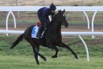Fame Game To Start 2015 Melbourne Cup Favourite