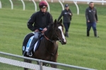 Melbourne Cup 2015: Stoute Not Sure Snow Sky Is Good Enough Melbourne Cup 2015: Stoute Not Sure Snow Sky Is Good Enough