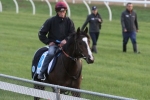 Melbourne Cup 2015: Stoute Not Sure Snow Sky Is Good Enough