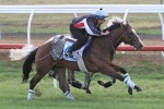 Cox Plate on the radar for Scottish