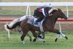 Dunlop Thrilled With Trip To Paris Ahead Of 2015 Melbourne Cup Dunlop Thrilled With Trip To Paris Ahead Of 2015 Melbourne Cup