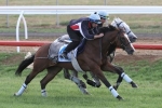 Melbourne Cup Dream Alive for Dunlop Melbourne Cup Dream Alive for Dunlop