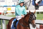 Snow Sky Included In Caulfield Cup Second Acceptances