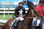 Tattersall’s Cup favourite Tucanchoo on hit and run mission